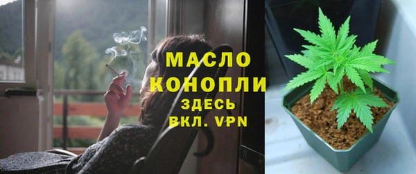 ешки Аркадак