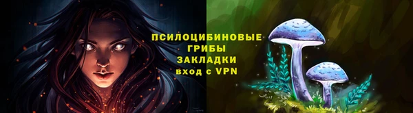 твердый Армянск