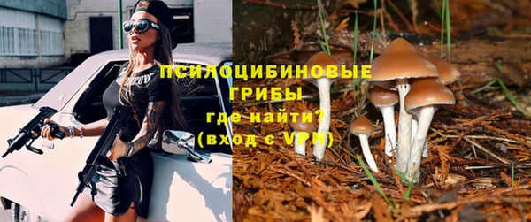 ешки Аркадак