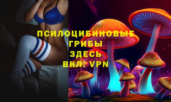 твердый Армянск