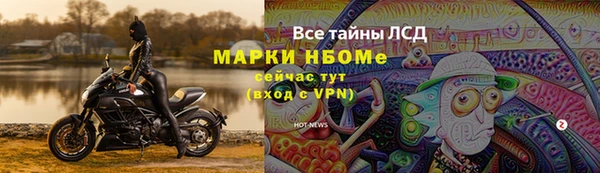 ешки Аркадак