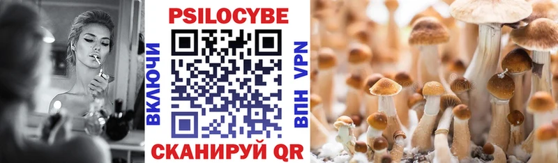 Псилоцибиновые грибы мицелий Темрюк