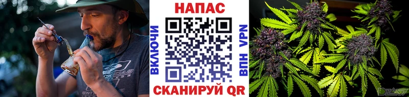 Бошки марихуана OG Kush  Темрюк 